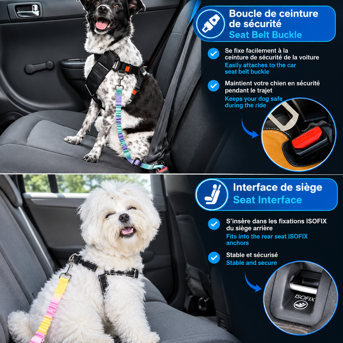 Ceinture de Sécurité Voiture pour Chien et Chat — Attache Harnais