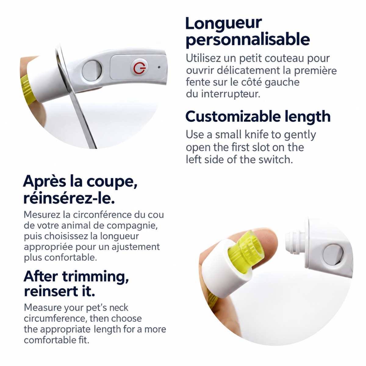 Collier Lumineux Fibre Optique pour Chien et Chat — Rechargeable USB