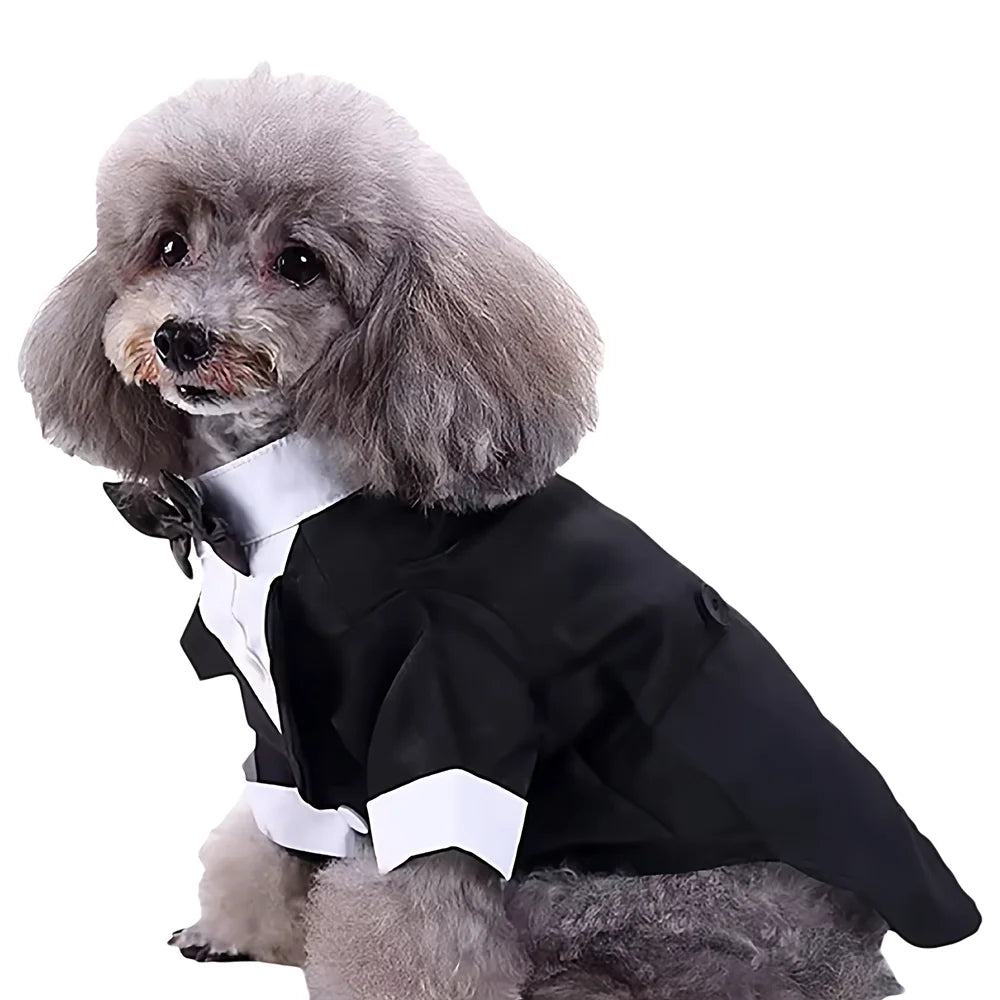 Smoking pour Chien et Chat — Tenue de Mariage et de Fête