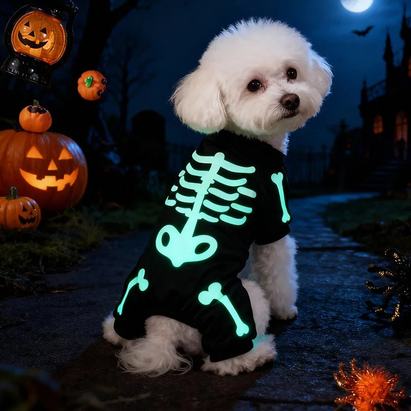 Costume Squelette Phosphorescent pour Chien — Combinaison Halloween