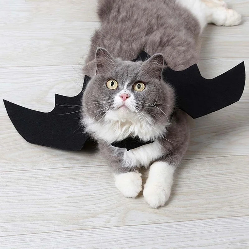 Harnais Ailes de Chauve-Souris pour Chat et Petit Chien — Halloween