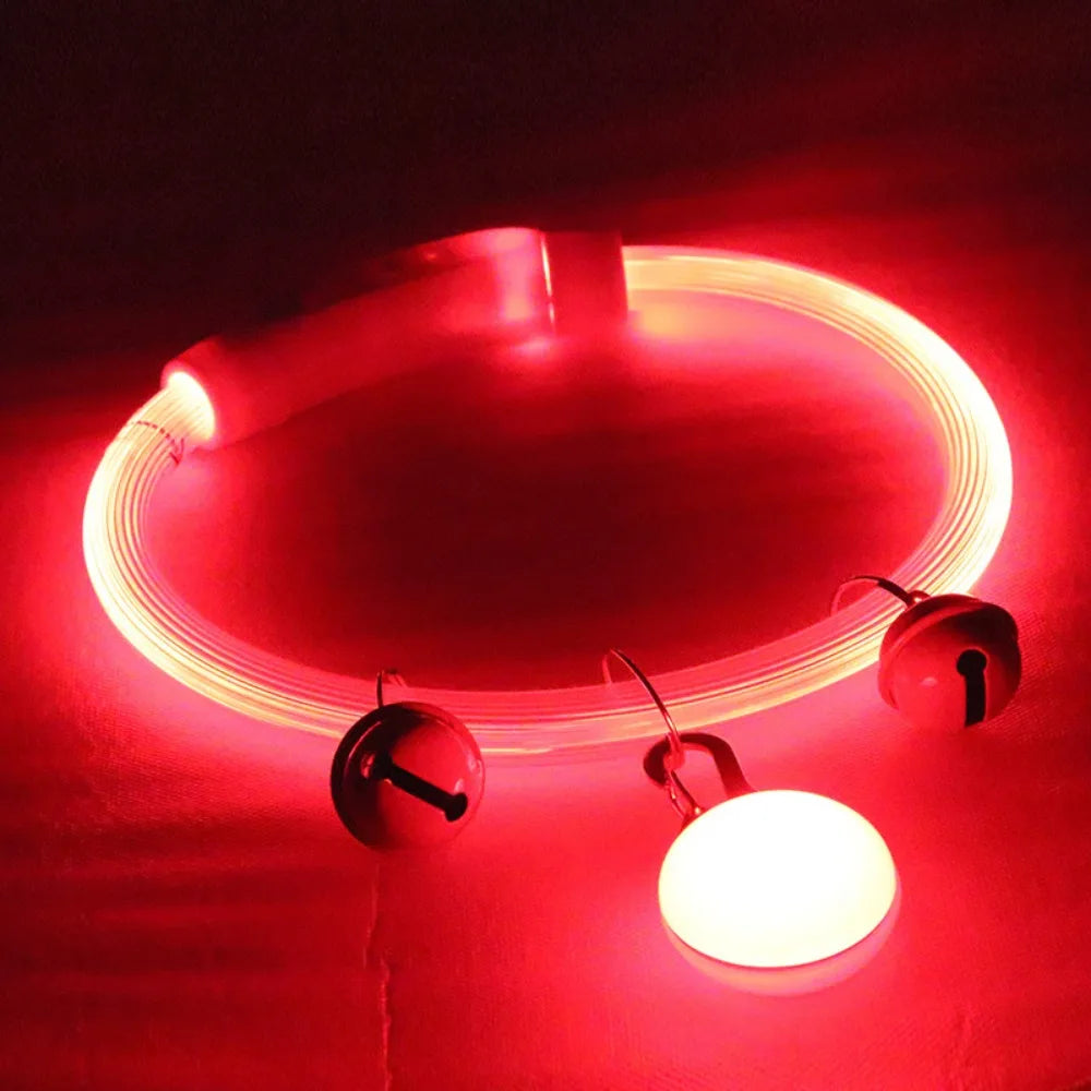 Collier Lumineux Fibre Optique pour Chien et Chat — Rechargeable USB