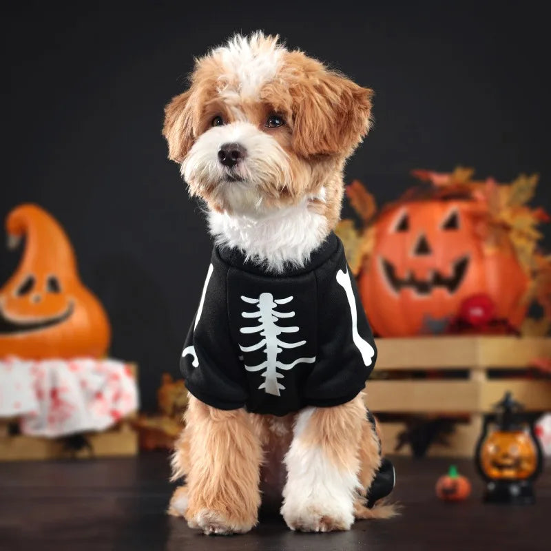 Costume Squelette Phosphorescent pour Chien — Combinaison Halloween