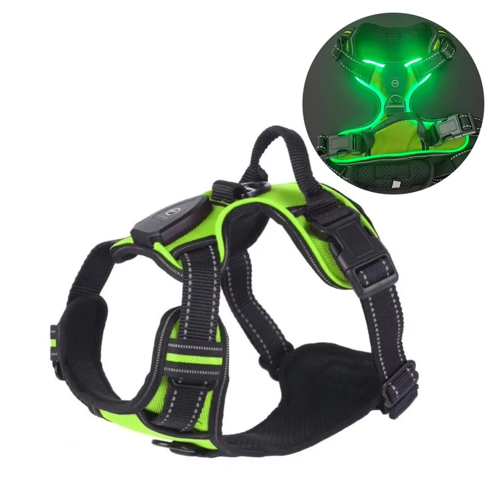 Harnais Lumineux LED Rechargeable pour Chien — Double Anneau