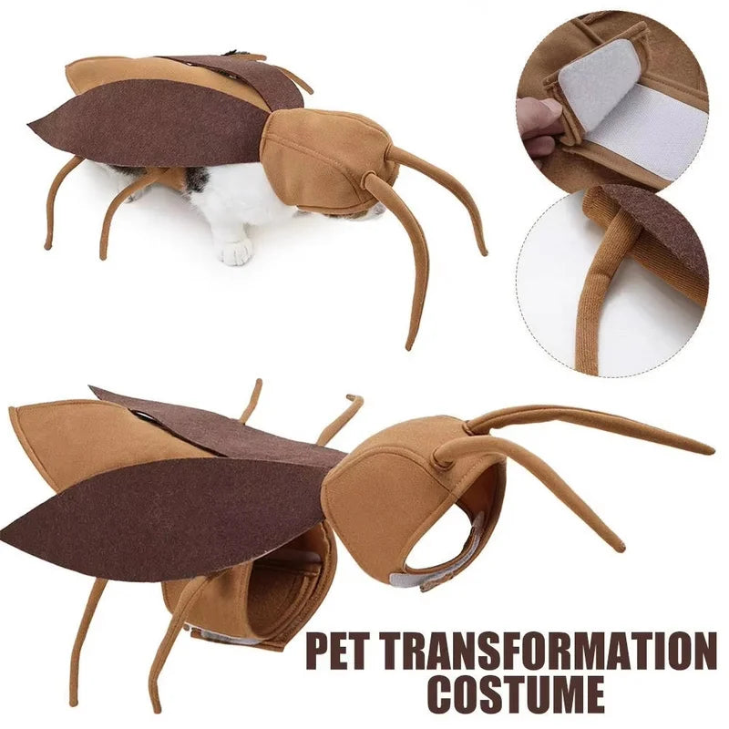 Déguisement Cafard Géant pour Chien et Chat — Costume Halloween
