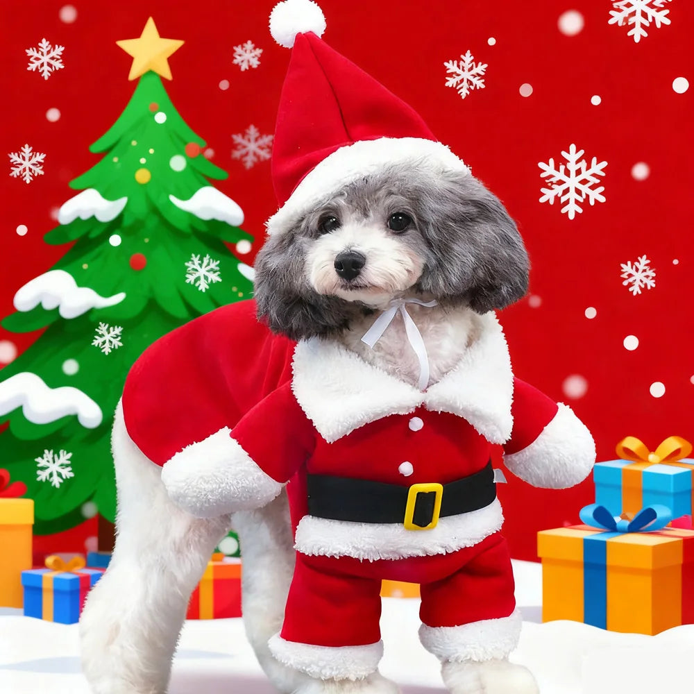 Costume Père Noël pour Chien et Chat — Tenue de Fête Rouge