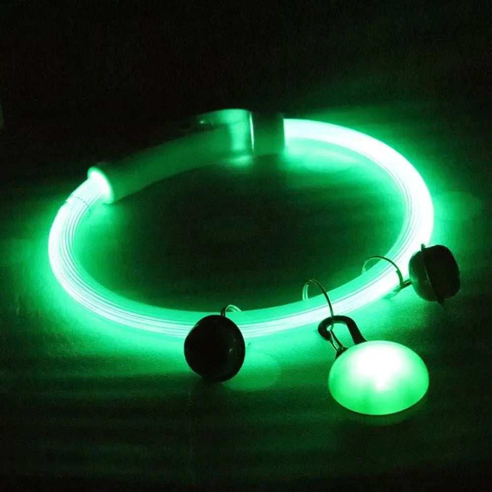 Collier Lumineux Fibre Optique pour Chien et Chat — Rechargeable USB