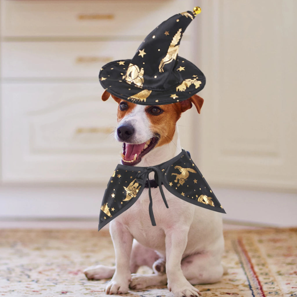 Déguisement de Sorcier pour Chien et Chat — Cape et Chapeau