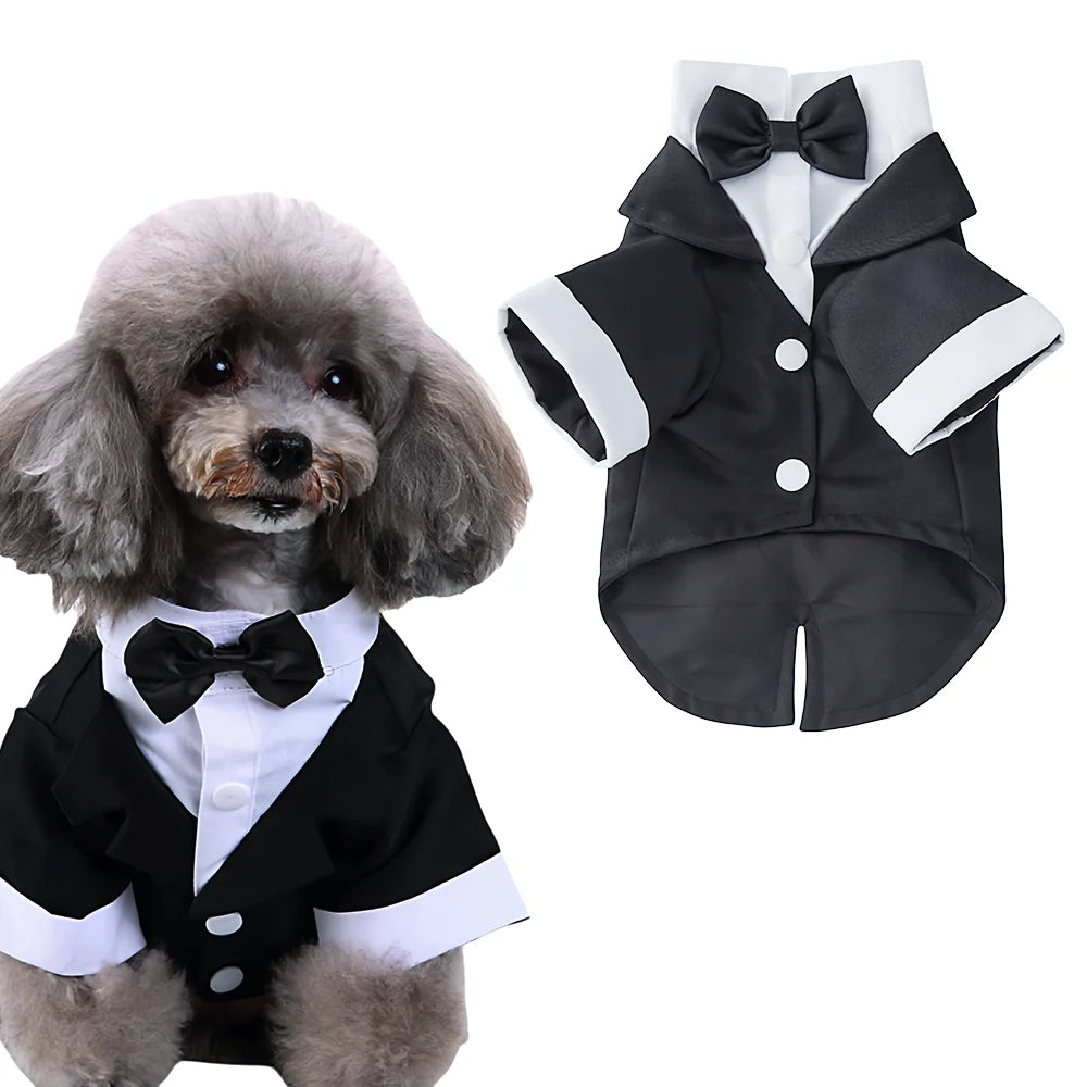 Smoking pour Chien et Chat — Tenue de Mariage et de Fête