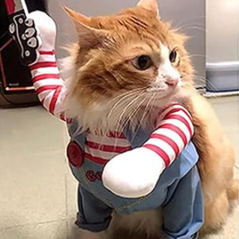 Costume Métamorphose pour Chien et Chat — 6 Styles au Choix