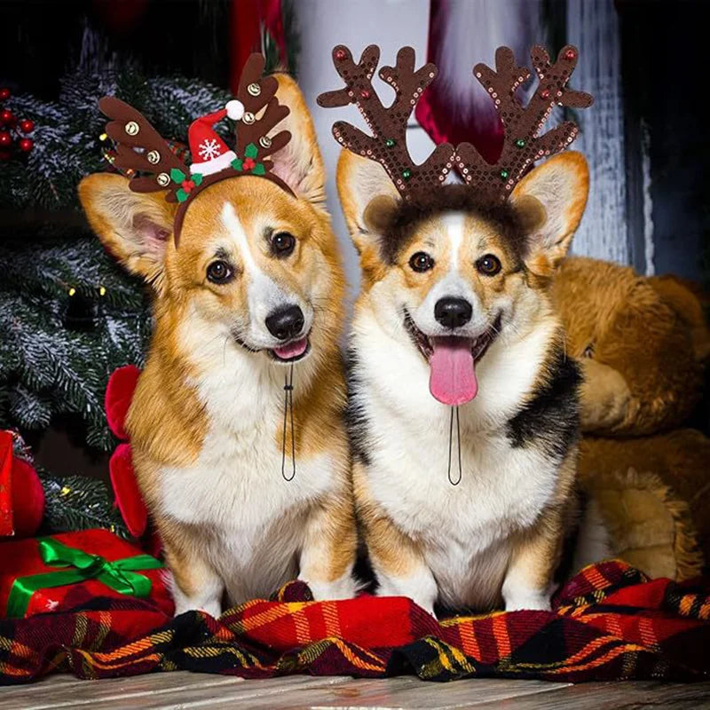 Serre-Tête de Noël pour Chien et Chat — Bois de Renne et Bonnet
