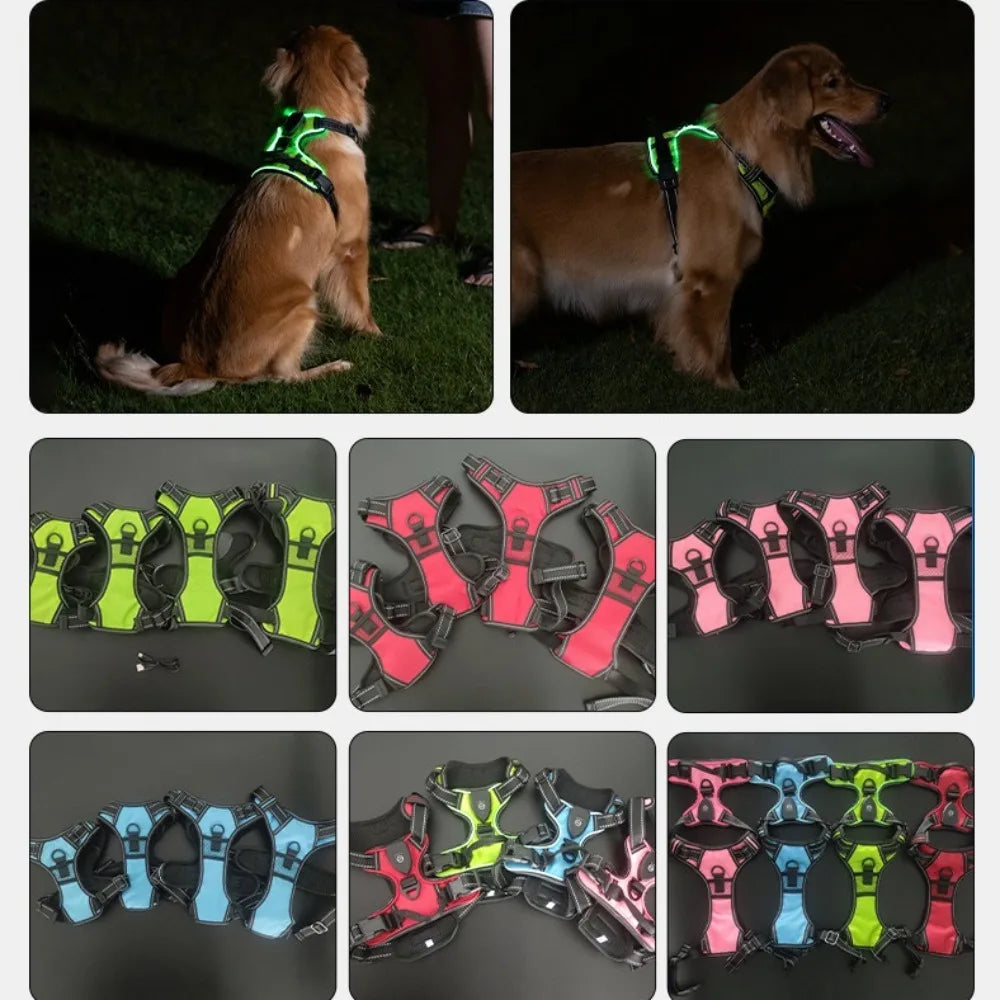 Harnais Lumineux LED Rechargeable pour Chien — Double Anneau