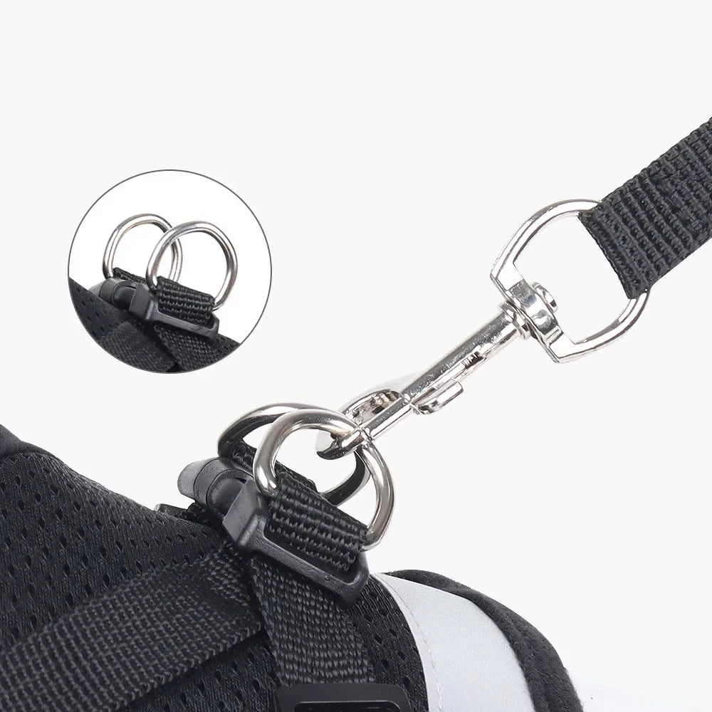 Harnais Anti-Échappement pour Chat et Petit Chien — Laisse Incluse