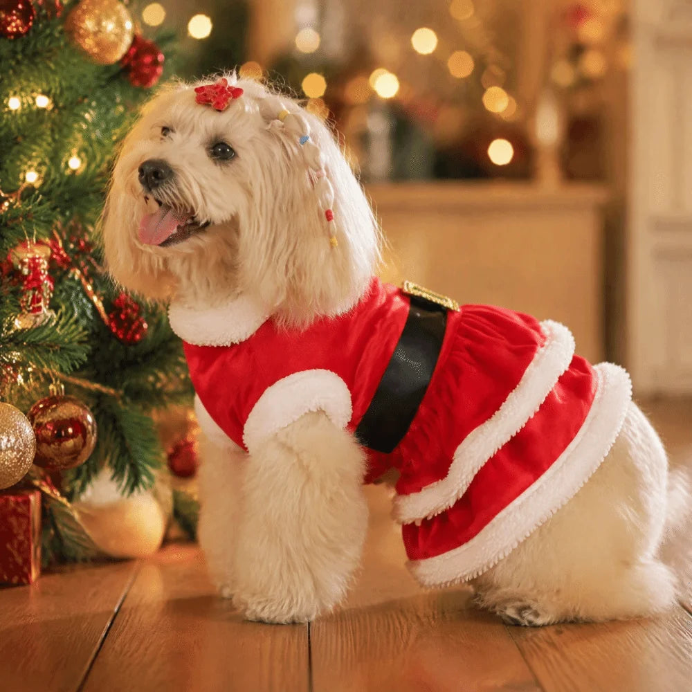 Robe de Noël Rouge pour Chien et Chat — Tenue de Réveillon