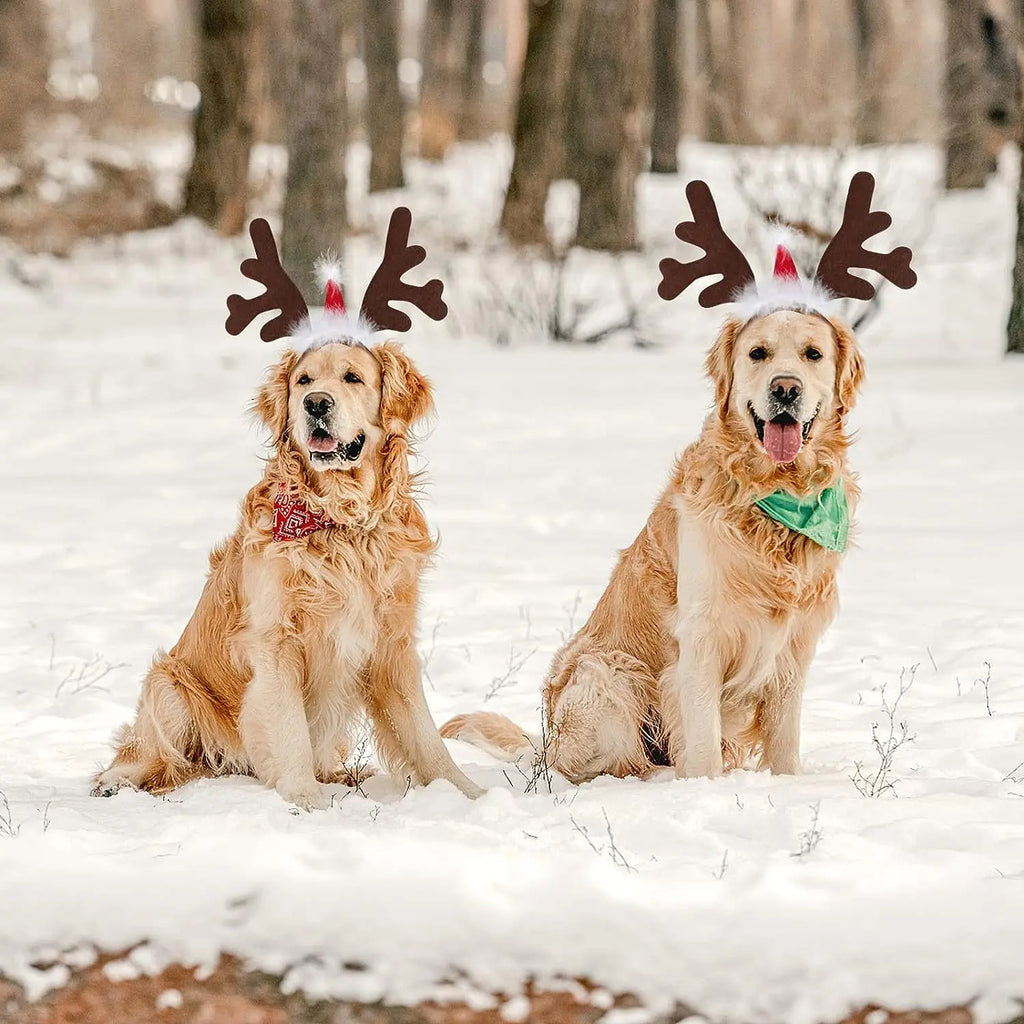 Serre-Tête de Noël pour Chien et Chat — Bois de Renne et Bonnet