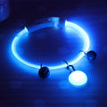 Collier Lumineux Fibre Optique pour Chien et Chat — Rechargeable USB