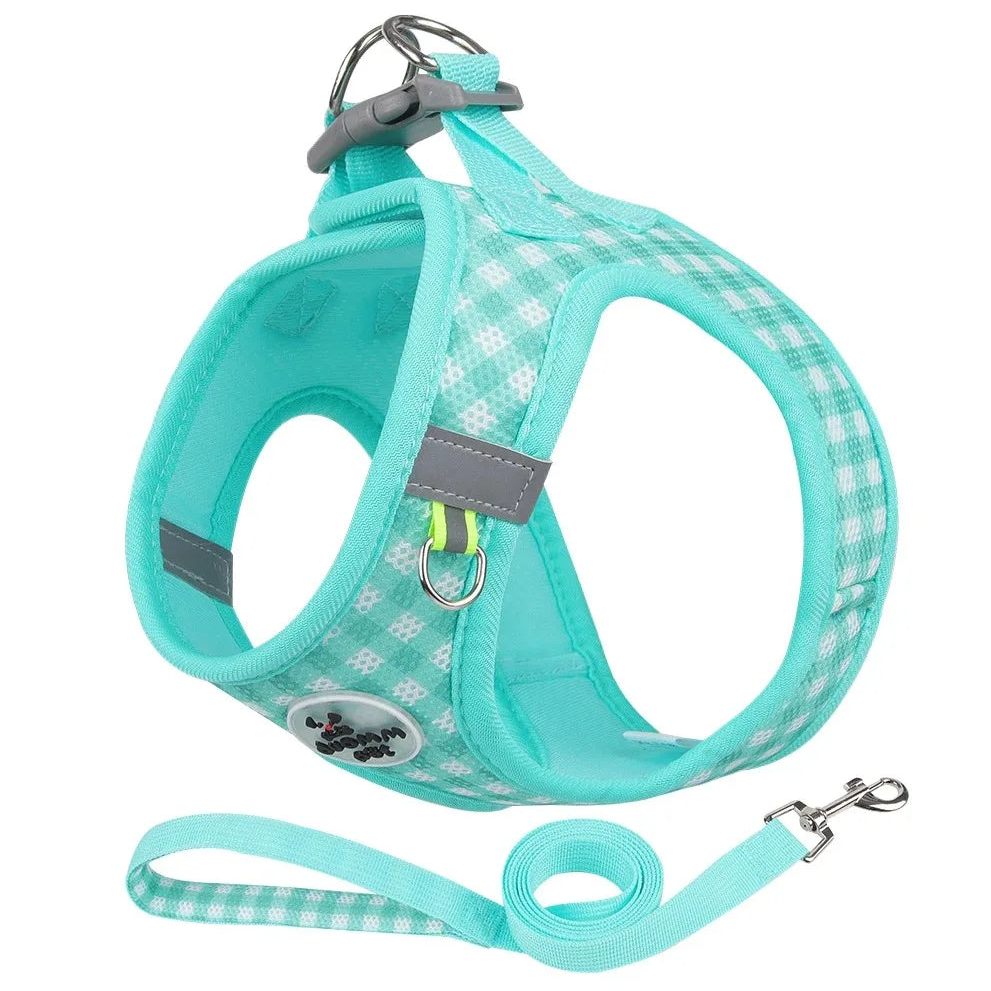 Harnais Confort Anti-Traction pour Petit Chien — Réglable & Rembourré