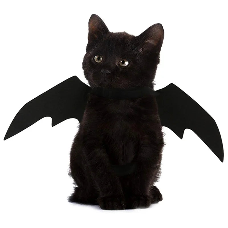 Harnais Ailes de Chauve-Souris pour Chat et Petit Chien — Halloween