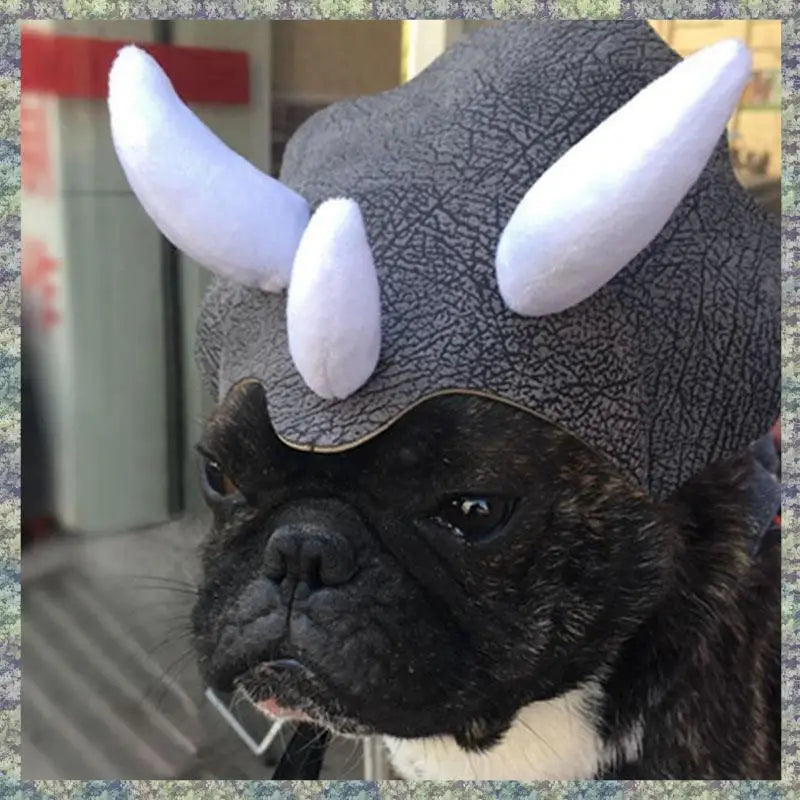 Chapeau Tricératops pour Chien et Chat — Accessoire Dinosaure