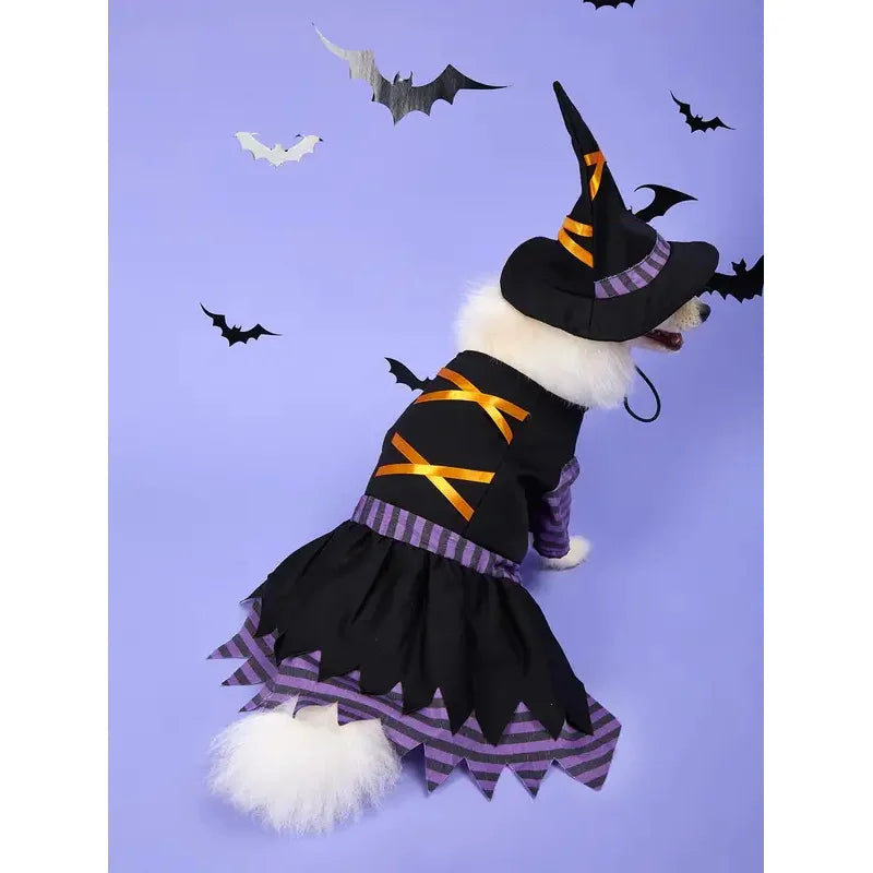 Déguisement de Sorcière pour Chien et Chat — Robe et Chapeau