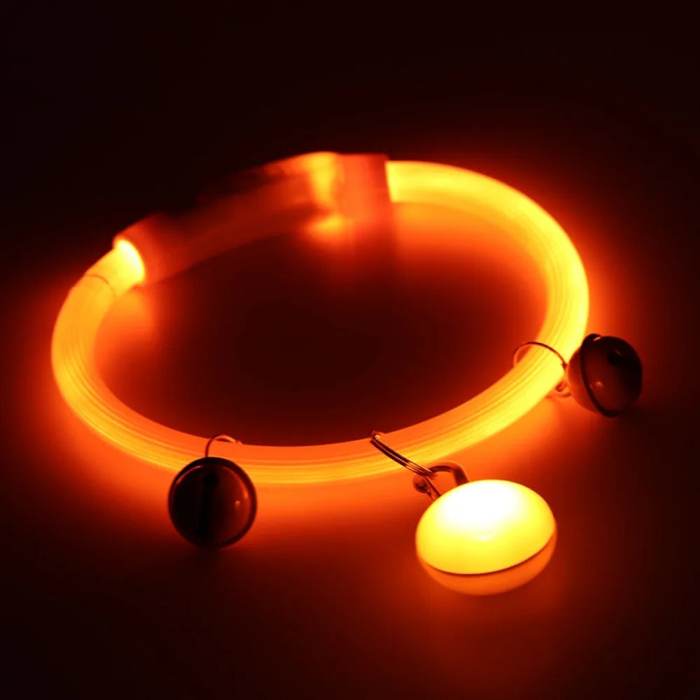 Collier Lumineux Fibre Optique pour Chien et Chat — Rechargeable USB