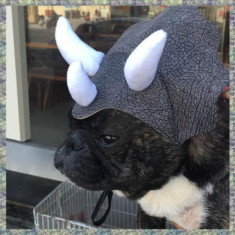 Chapeau Tricératops pour Chien et Chat — Accessoire Dinosaure