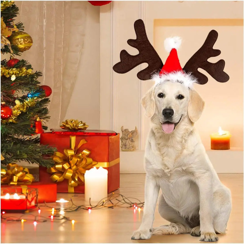 Serre-Tête de Noël pour Chien et Chat — Bois de Renne et Bonnet