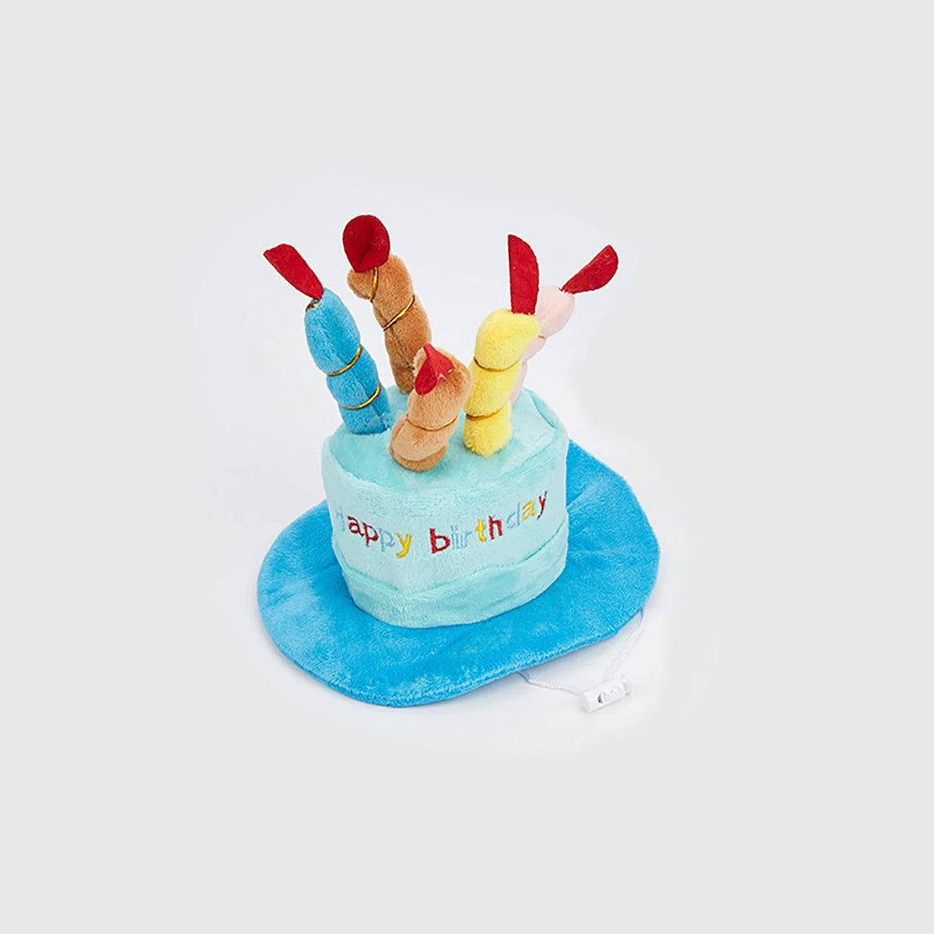 Chapeau d'Anniversaire pour Chien et Chat — Gâteau et Bougies