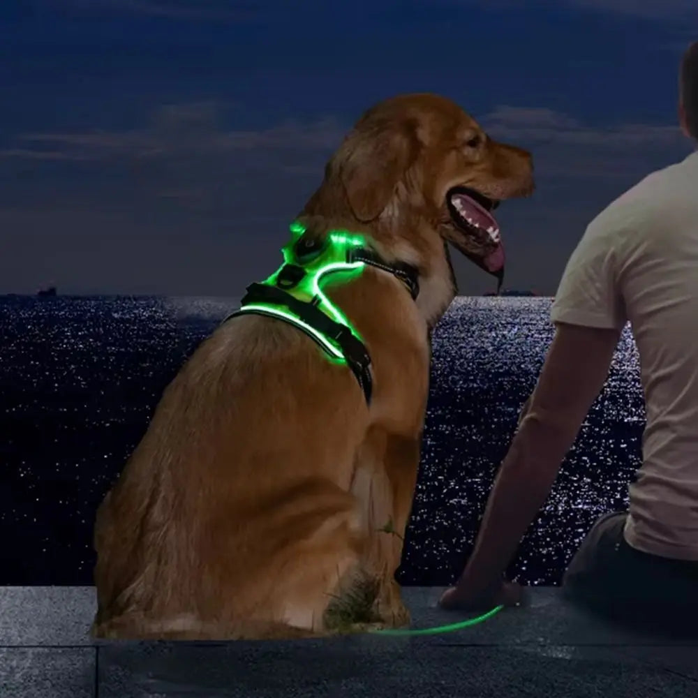 Harnais Lumineux LED Rechargeable pour Chien — Double Anneau