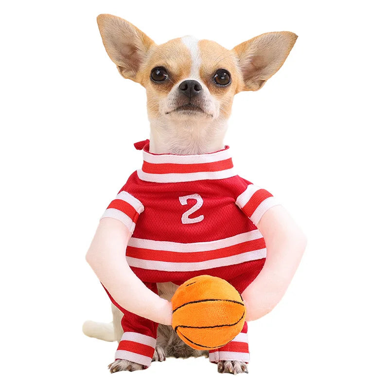 Costume Métamorphose pour Chien et Chat — 6 Styles au Choix