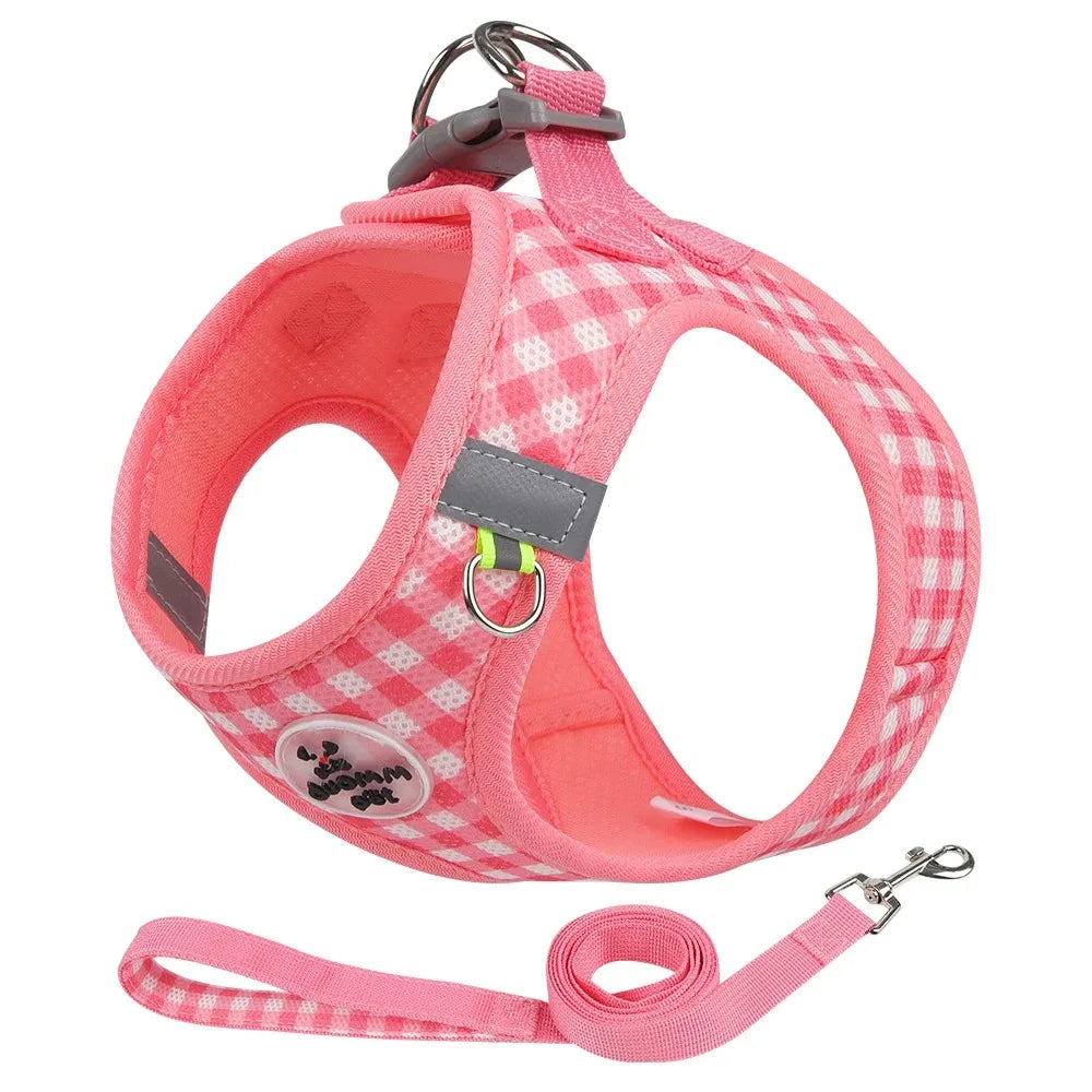 Harnais Confort Anti-Traction pour Petit Chien — Réglable & Rembourré