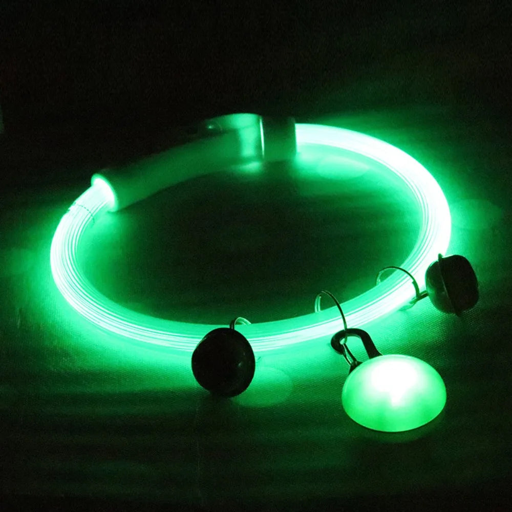 Collier Lumineux Fibre Optique pour Chien et Chat — Rechargeable USB