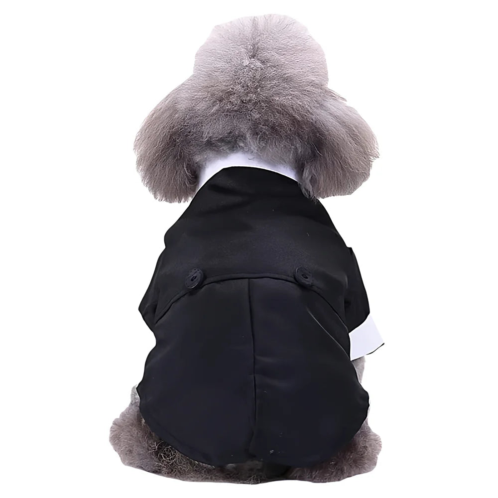 Smoking pour Chien et Chat — Tenue de Mariage et de Fête