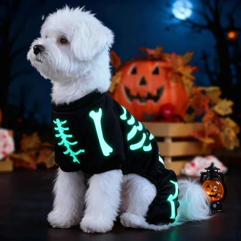 Costume Squelette Phosphorescent pour Chien — Combinaison Halloween