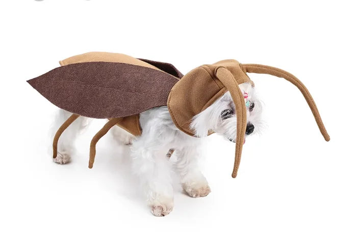 Déguisement Cafard Géant pour Chien et Chat — Costume Halloween