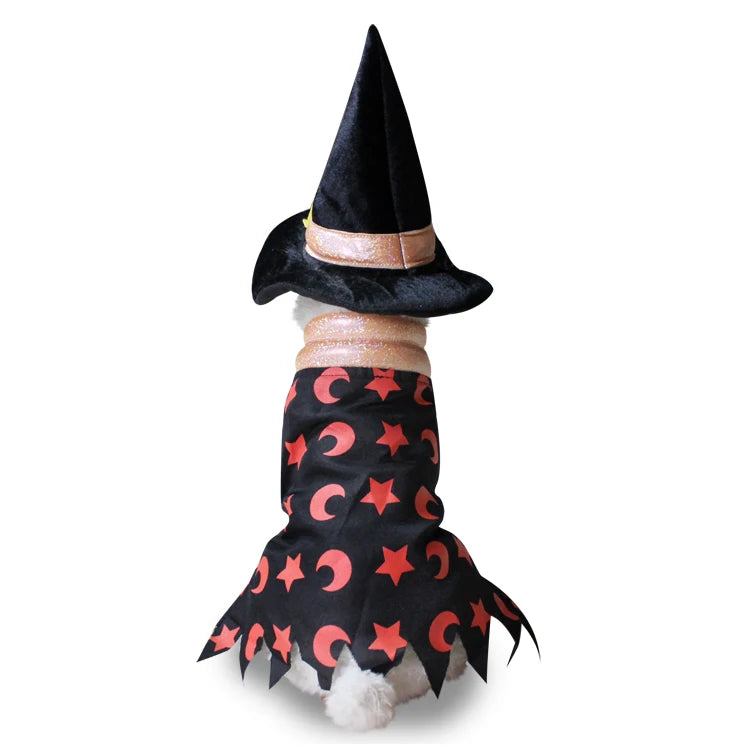 Costume Déguisement pour Chien et Chat — 6 Thèmes au Choix