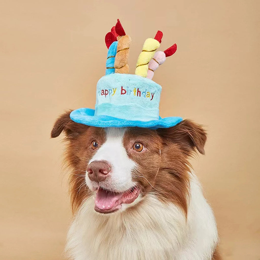 Chapeau d'Anniversaire pour Chien et Chat — Gâteau et Bougies