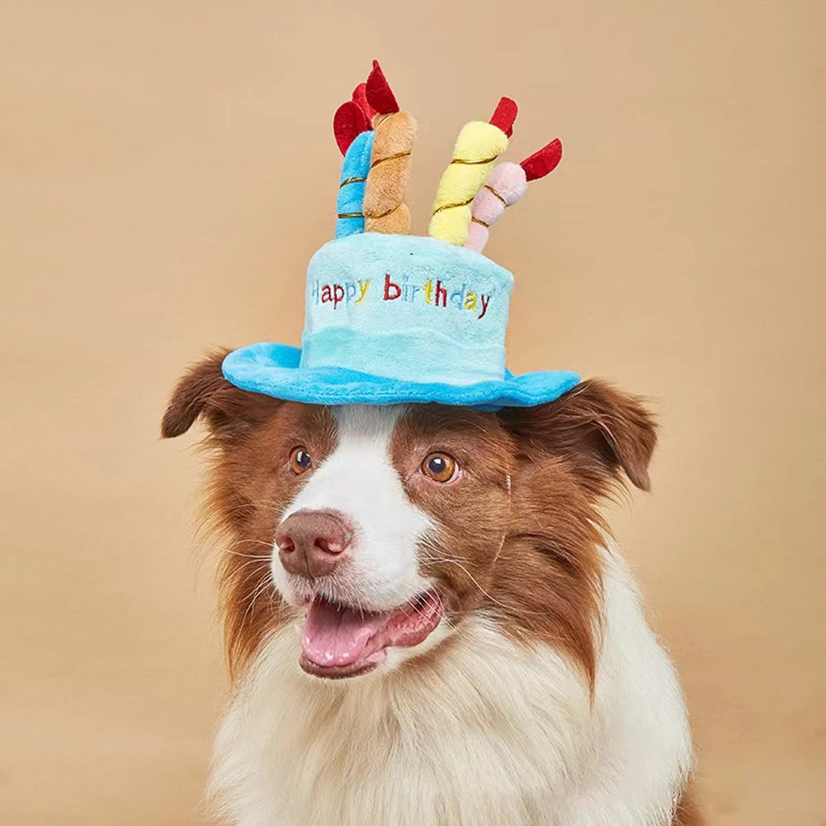 Chapeau d'Anniversaire pour Chien et Chat — Gâteau et Bougies
