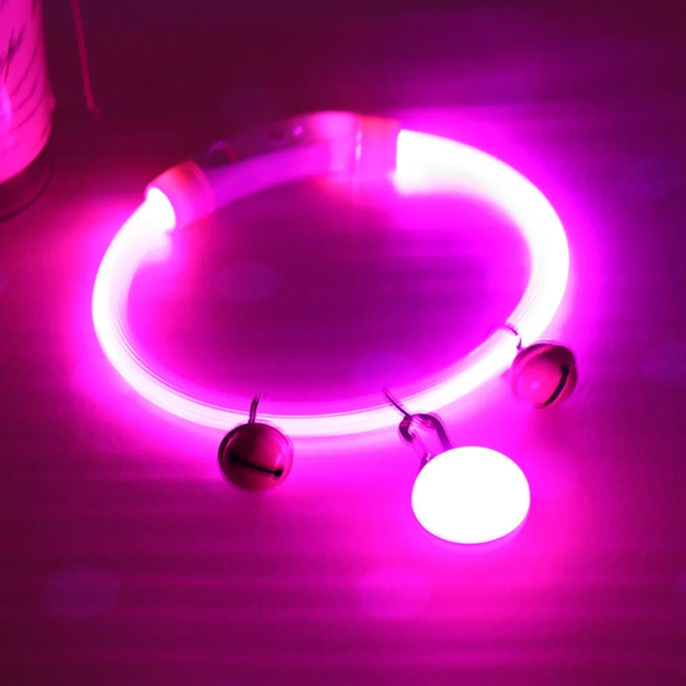 Collier Lumineux Fibre Optique pour Chien et Chat — Rechargeable USB