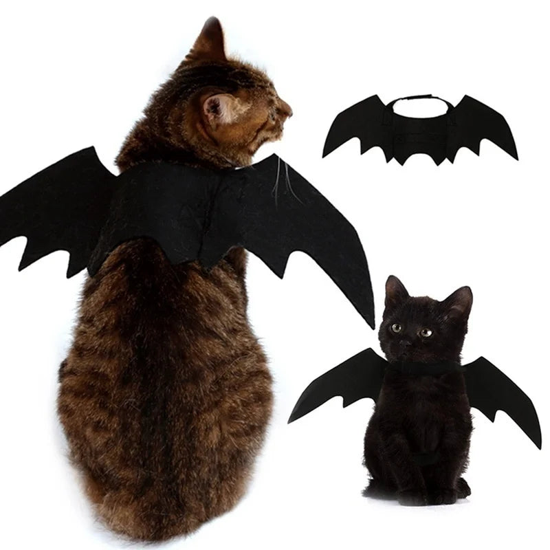 Harnais Ailes de Chauve-Souris pour Chat et Petit Chien — Halloween