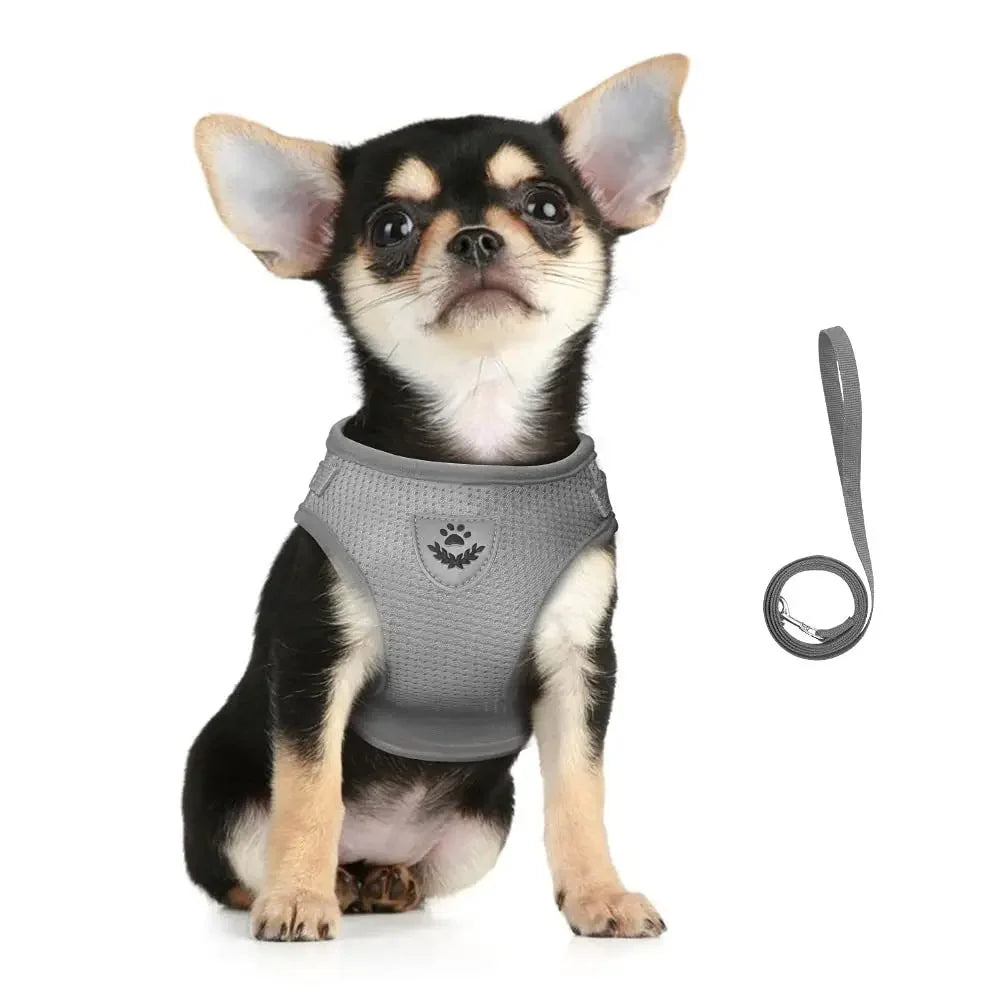 Harnais Anti-Échappement pour Chat et Petit Chien — Laisse Incluse