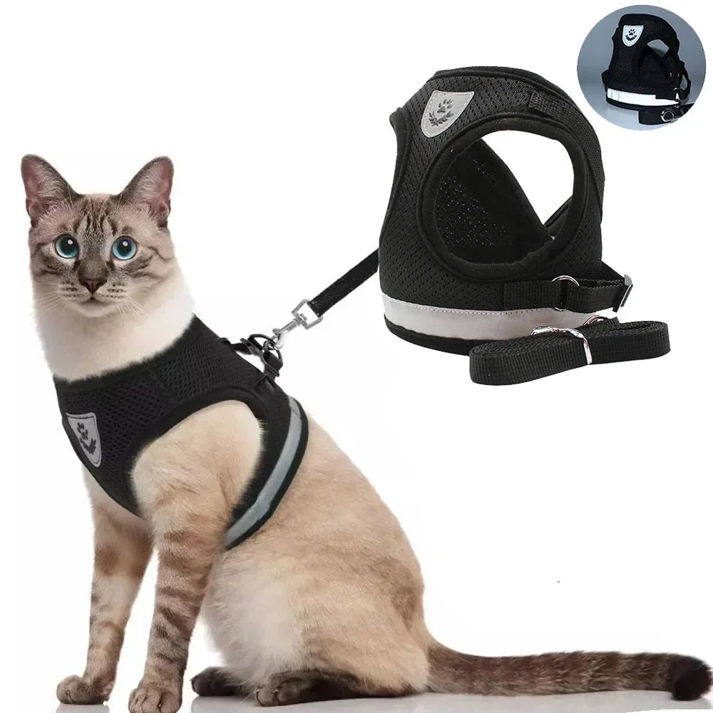Harnais Anti-Échappement pour Chat et Petit Chien — Laisse Incluse