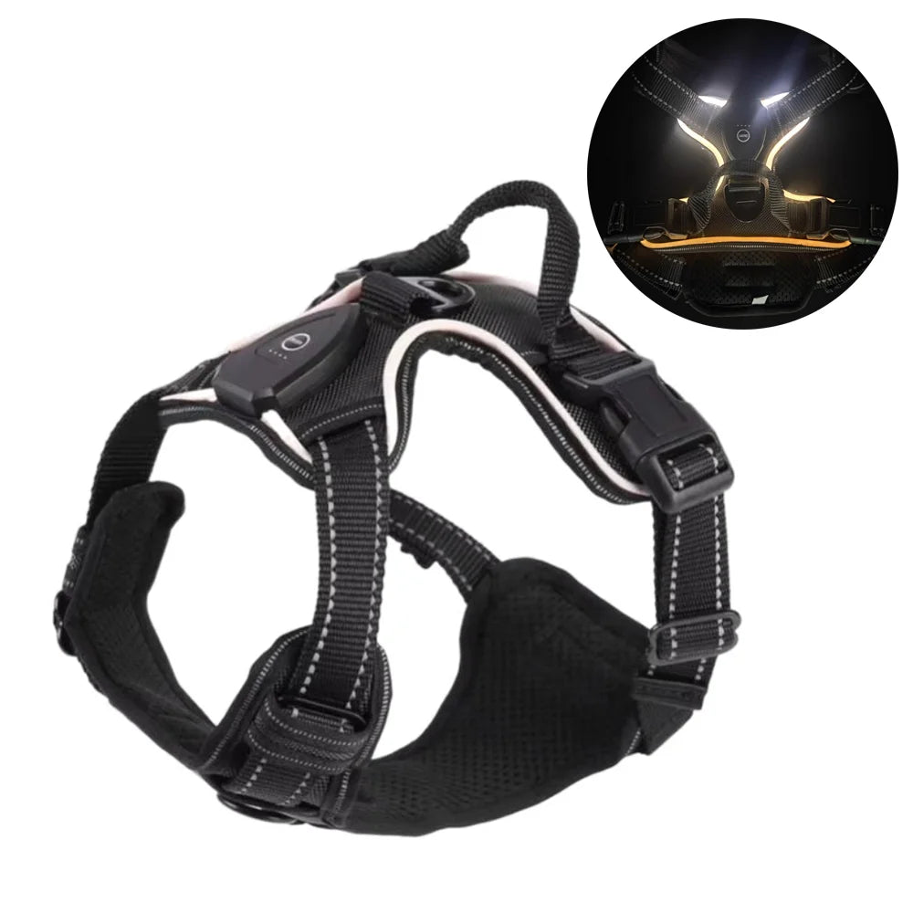 Harnais Lumineux LED Rechargeable pour Chien — Double Anneau
