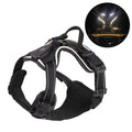 Harnais Lumineux LED Rechargeable pour Chien — Double Anneau