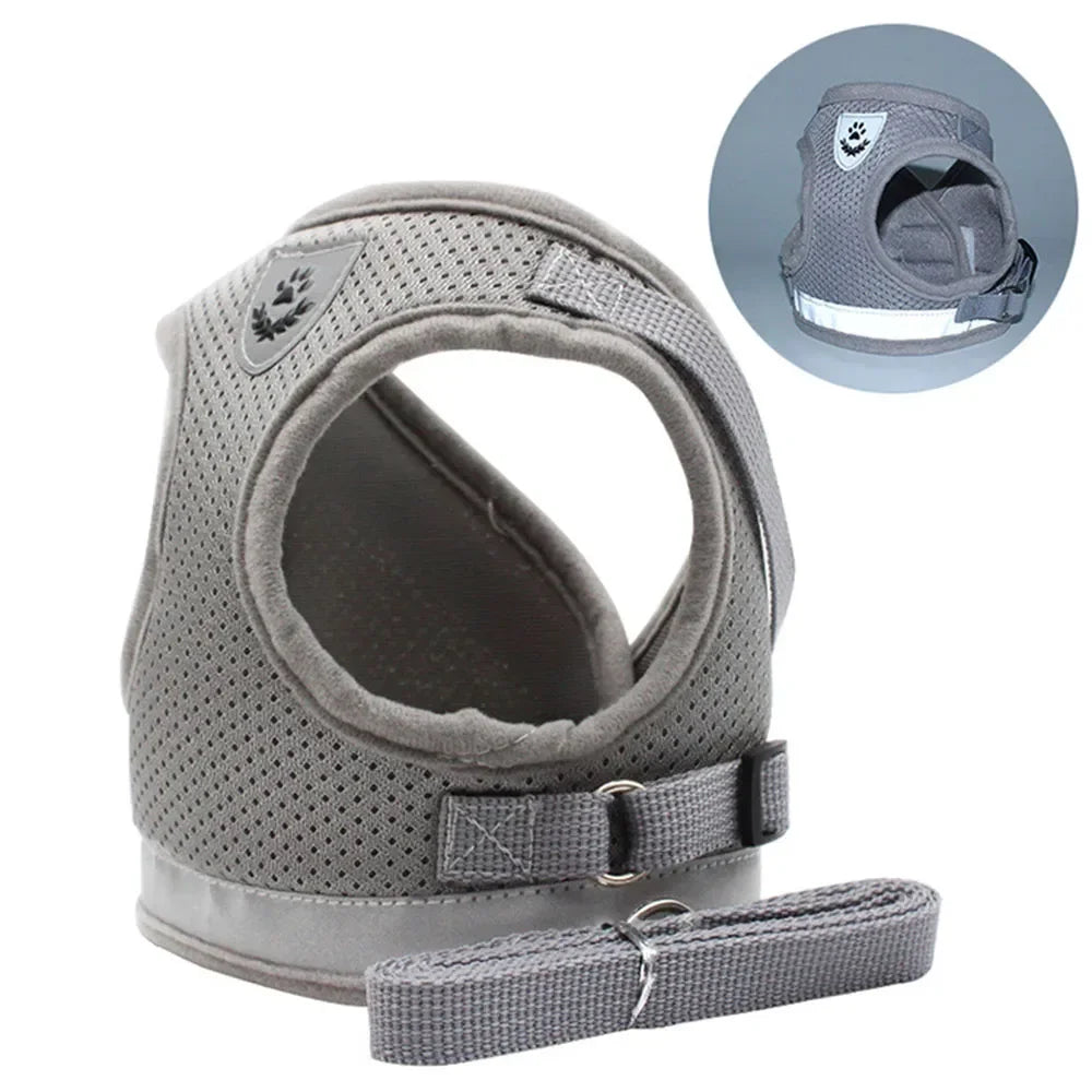 Harnais Anti-Échappement pour Chat et Petit Chien — Laisse Incluse