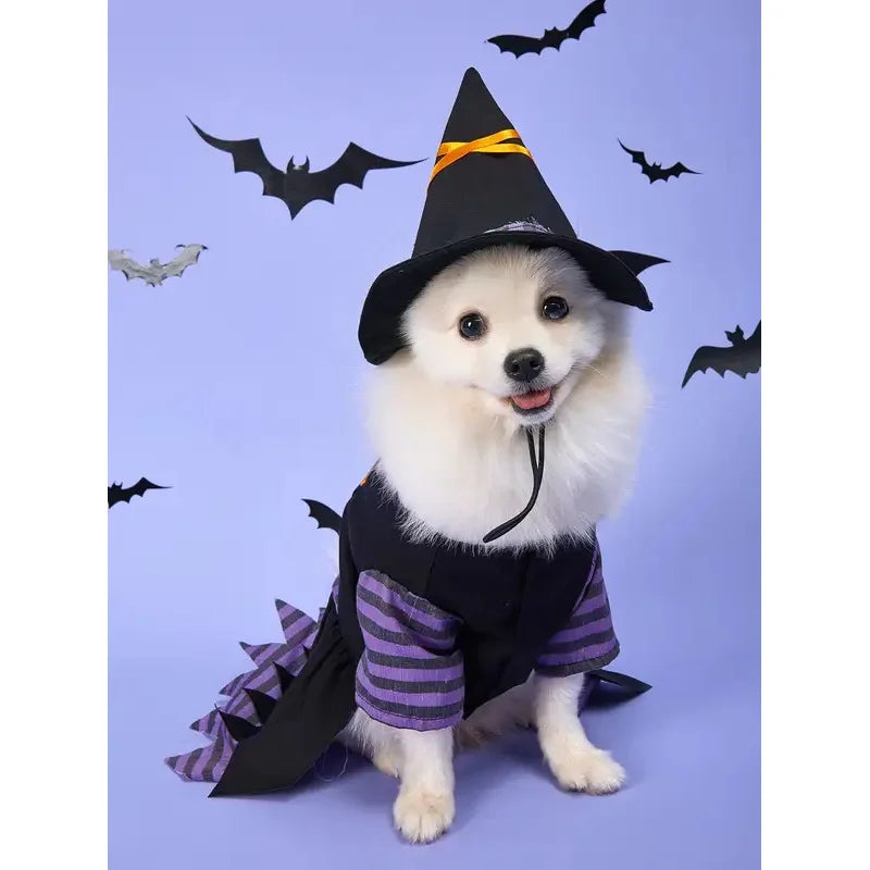 Déguisement de Sorcière pour Chien et Chat — Robe et Chapeau