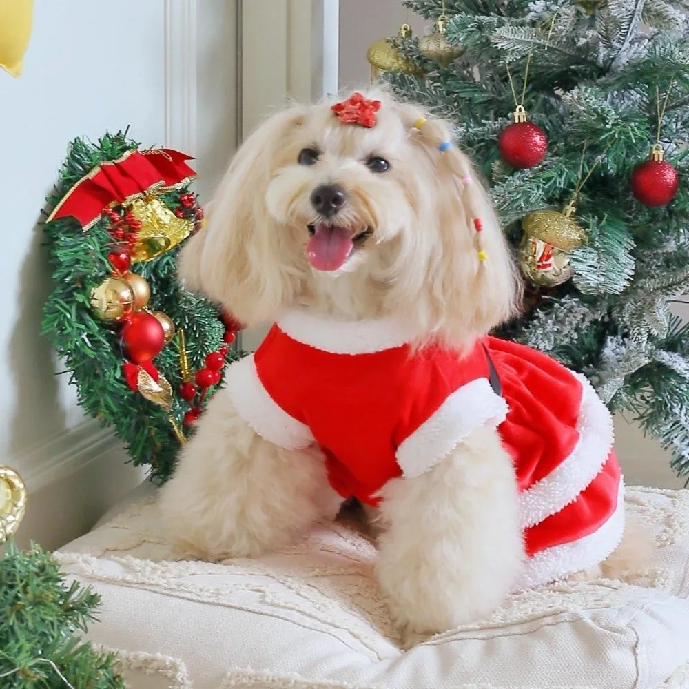 Robe de Noël Rouge pour Chien et Chat — Tenue de Réveillon