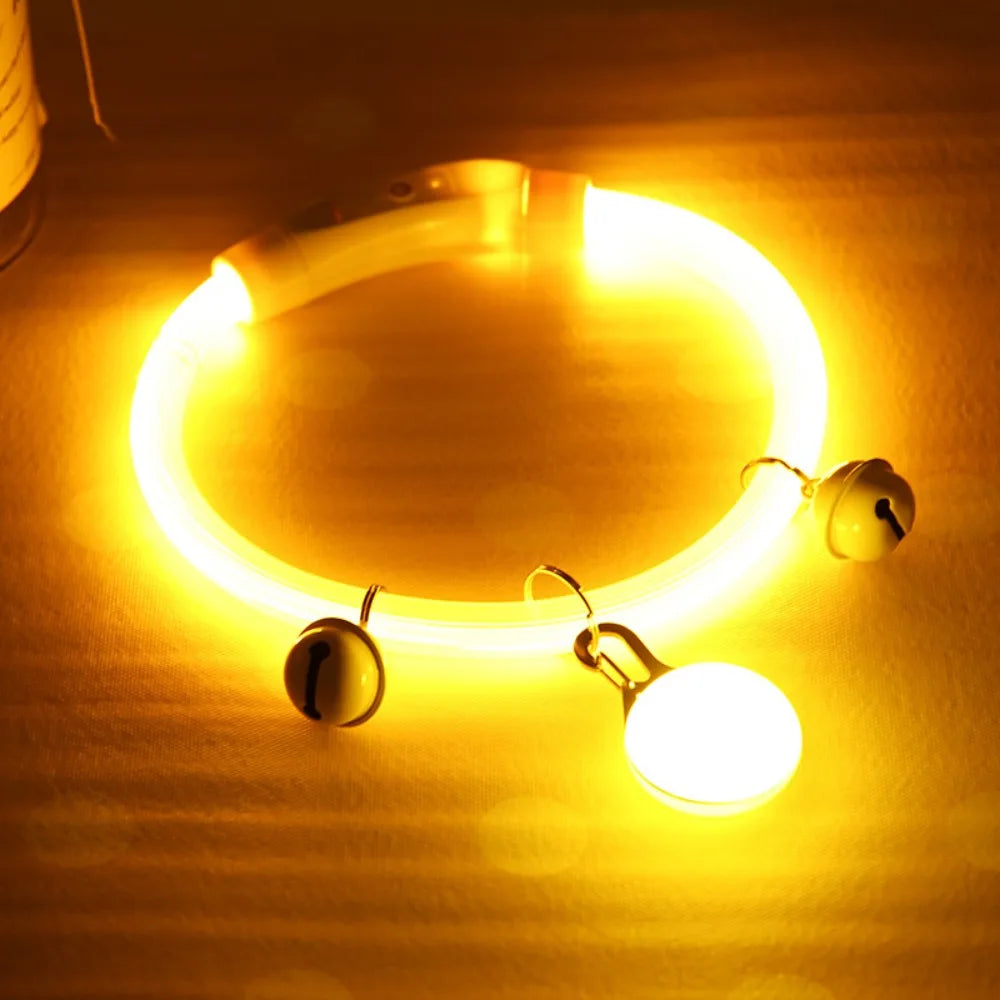 Collier Lumineux Fibre Optique pour Chien et Chat — Rechargeable USB