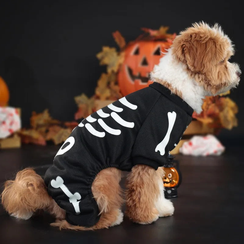 Costume Squelette Phosphorescent pour Chien — Combinaison Halloween