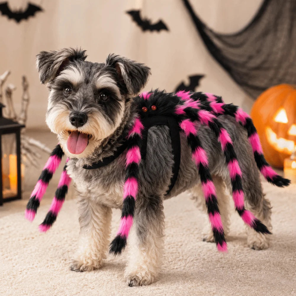 Harnais Araignée pour Chien et Chat — Déguisement Halloween
